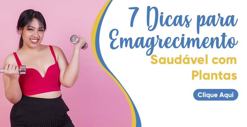 7 dicas de emagrecimento saudável com plantas | Farmácia de Manipulação - Oficina de Ervas: Cápsulas, Tinturas, Cosméticos e Essências.
